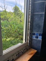 可租補 新店輕軌雙城站 大面採光（第12張）