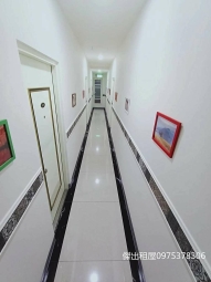 租屋找77✿八德1樓,對外窗,可補助,貓咪 - Image 12