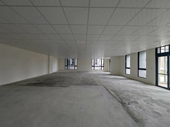 豐邑京站優質商辦*獅子王（第3張）