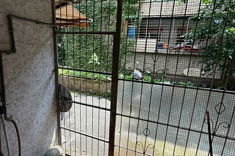 兆基社會住宅🏠⛳️近暖西里活動中心~低樓層三房搶租停車方便（第10張）