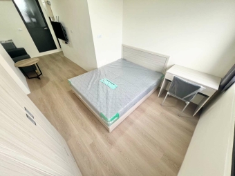 家裡開動物園🐈🐕可寵可狗✨可租補💕陽台獨洗✨宇你相見（第2張）