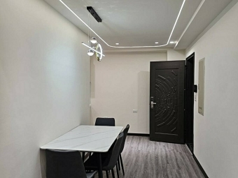 近湖口全新三房附平車含管*獅子王（第4張）