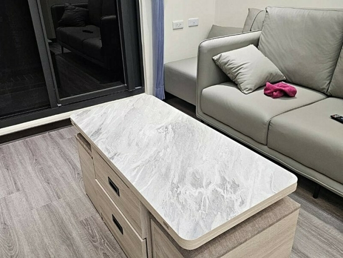 近湖口全新三房附平車含管*獅子王(第3張)