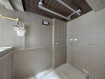 (可寵)富來大郡三房平車*獅子王 - Image 18