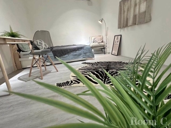 新埔雙捷運站，租補，大坪數雅房，代收垃圾，合租公寓，限女生（第3張）