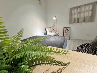 新埔雙捷運站，租補，大坪數雅房，代收垃圾，合租公寓，限女生（第4張）