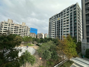 青埔極新稀有釋出合法套房出租（第10張）