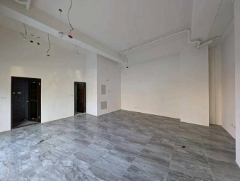 三民路近麥當勞全新店面*獅子王（第3張）