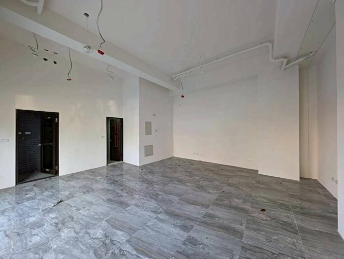 三民路近麥當勞全新店面*獅子王（第3張）