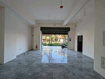 三民路近麥當勞全新店面*獅子王（第2張）