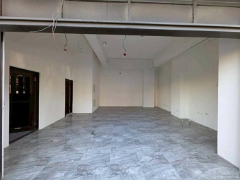 三民路近麥當勞全新店面*獅子王（第4張）