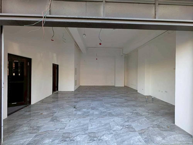 三民路近麥當勞全新店面*獅子王（第4張）