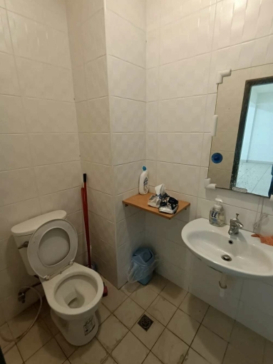 保泰二街店面庭院雙車位*獅子王（第9張）