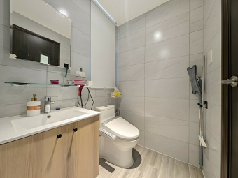 恰恰好精裝兩房平車*獅子王（第8張）