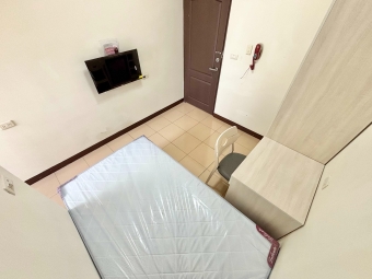 💖可雙租補✨電梯🏠可貓✔️陽台💯獨家💖多間可選✨ - Image 9