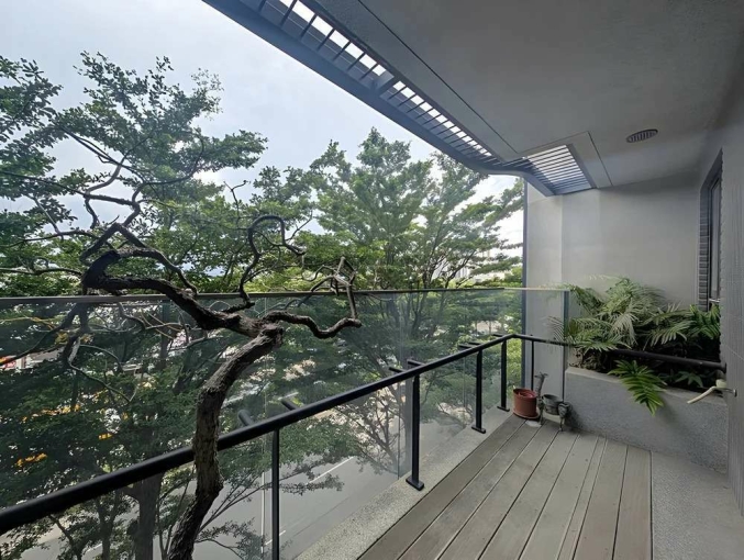 含稅可寵台元三改二房*獅子王(第8張)