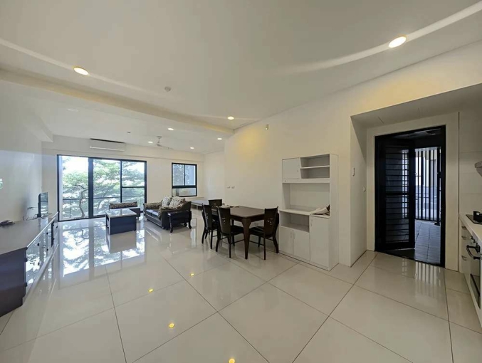 含稅可寵台元三改二房*獅子王(第1張)