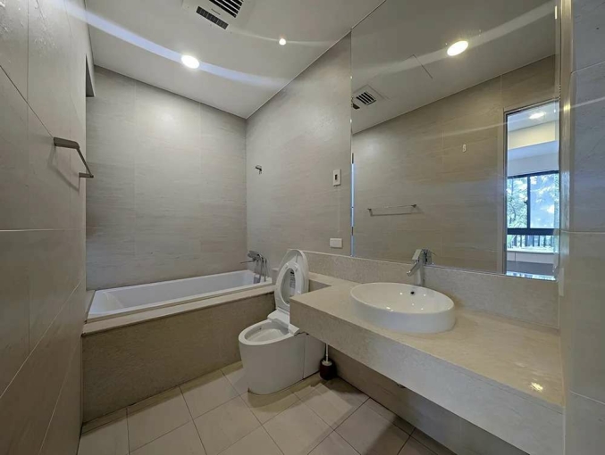 含稅可寵台元三改二房*獅子王(第10張)