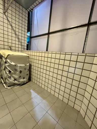 正南屯稀有物件🍀租屋補助🍀電梯🍀流理台🍀陽台獨洗🍀子母車🍀乾溼分離（第9張）