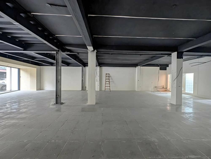 博愛街十米面寬店王*獅子王(第4張)