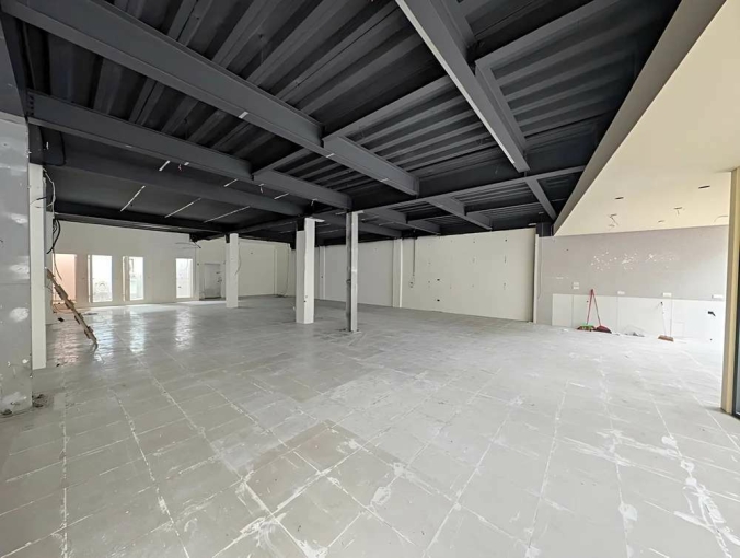 博愛街十米面寬店王*獅子王(第6張)