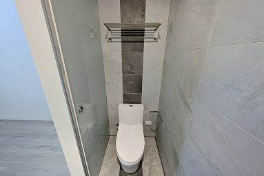 (可寵物)上德湛三房平車*獅子王（第11張）