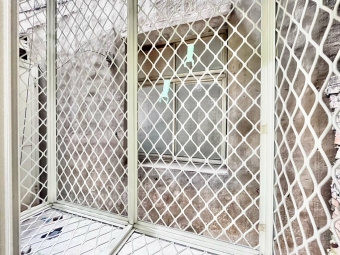 💖小資首選✨獨洗曬✔️便宜租💖 - Image 10