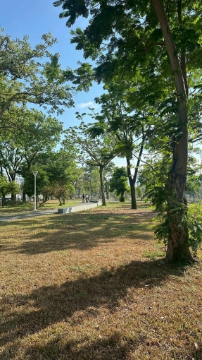蓮潭巨蛋景觀房/近台積電/陽明交大/高鐵 - Image 12