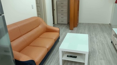 新裝潢採光好通風佳格局方正（第9張）