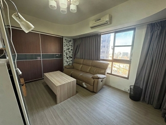 (可寵)未來21兩房平車含管*獅子王（第1張）