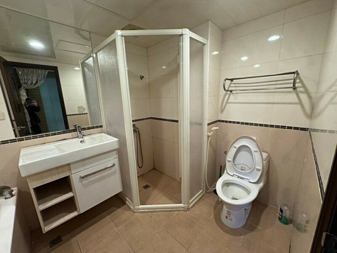 (可寵)未來21兩房平車含管*獅子王（第8張）