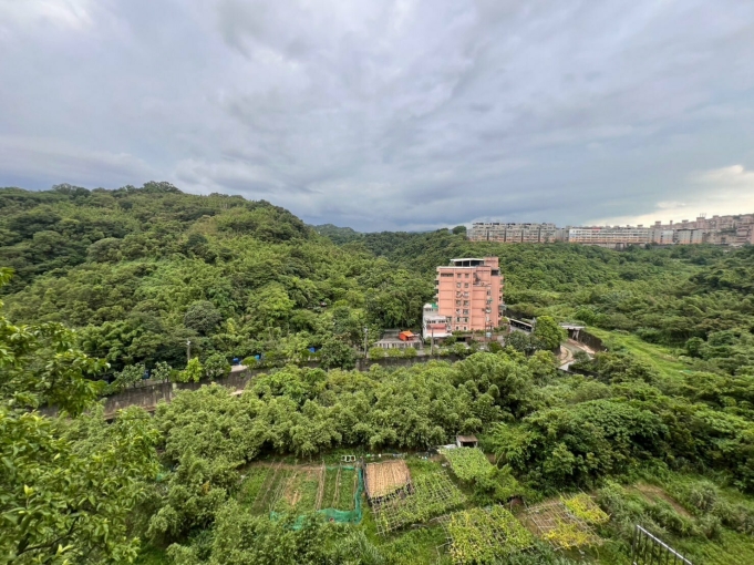 🌳看綠景電梯四房❌無法來電就馬上看屋🙏 - Image 11