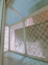 💖可租補/報稅✨便宜租🏠優惠價💖 - Image 10