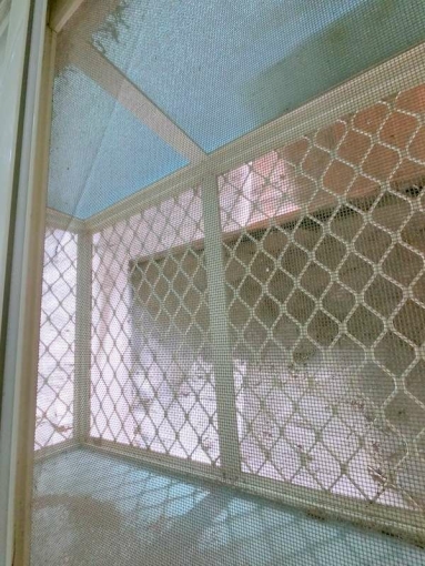 💖可租補/報稅✨便宜租🏠優惠價💖 - Image 5