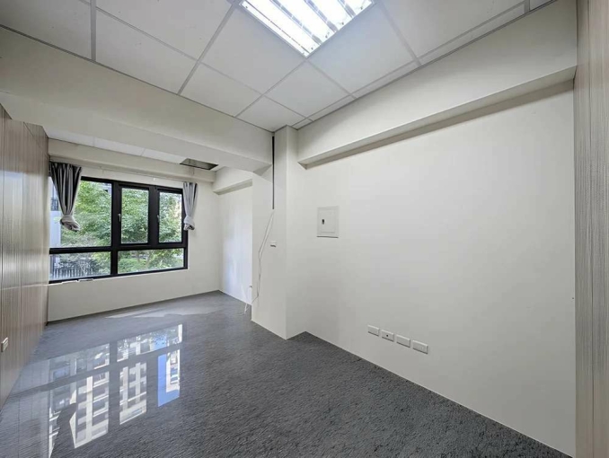 文鼎為美1+2店面*獅子王（第8張）