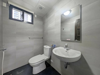 文鼎為美1+2店面*獅子王（第11張）