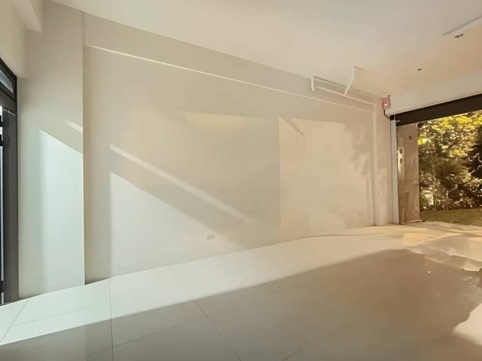 六家小店面門前可停車*獅子王（第3張）