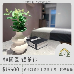 近中路特區｜絕美套房｜全新裝潢｜乾濕分離｜獨洗獨曬（第1張）