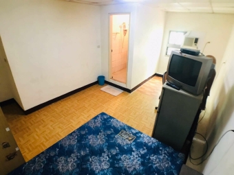 ★台北橋★三和夜市★禁菸寵★河堤★（第9張）