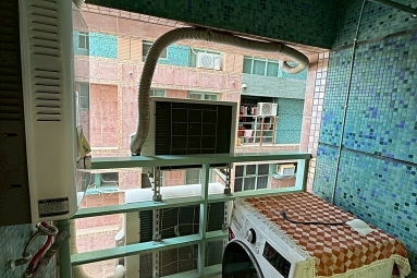 兆基社會住宅🏡電梯三房樓中樓可租補看房加LINE（第8張）