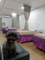 一樓美甲分租（第2張）