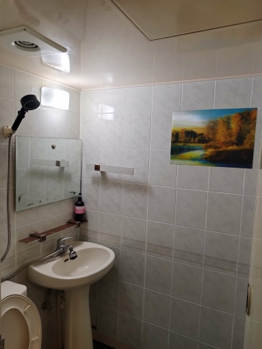 台中北區北歐輕工業風套房台電水（第7張）