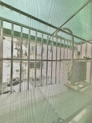 🌳可雙租補💖可乖寵✨電梯🏠獨洗曬✔️近一中💖（第8張）