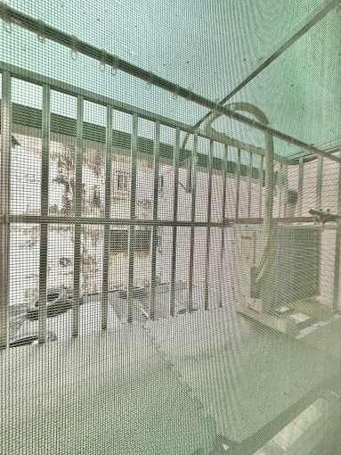 🌳可雙租補💖可乖寵✨電梯🏠獨洗曬✔️近一中💖（第8張）