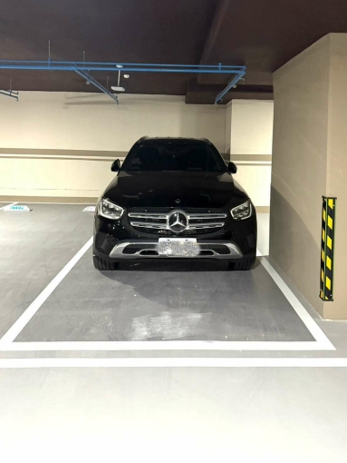 可雙租補-含車管-可寵-VVS1-2房平車(第4張)