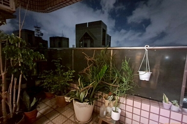 兆基社會住宅🏠民權二路免仲可寵大三房（第10張）