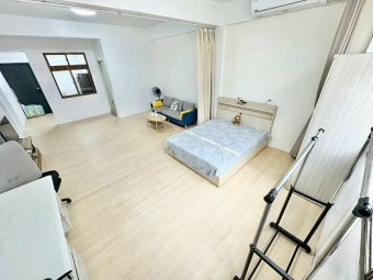 🐾逗貓棒給他玩起來❤️可租補✨子母車💕飲水機🦋獨洗曬（第5張）