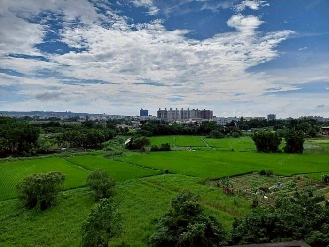 家樂福三仔頂田園美景氣場超好(第3張)