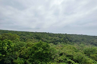 兆基社會住宅🏠近馬偕校區輕鬆入住套房三芝熱帶嶼（第6張）