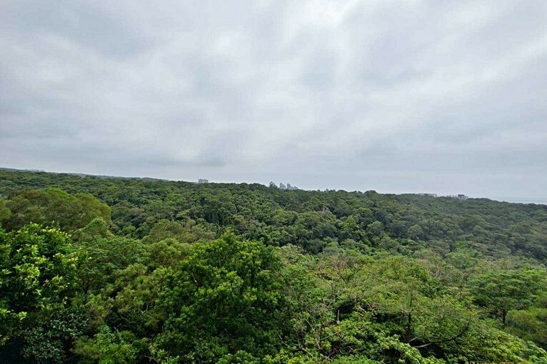 兆基社會住宅🏠近馬偕校區輕鬆入住套房三芝熱帶嶼（第6張）